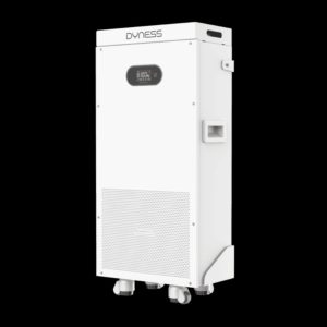 Dyness powerbrick